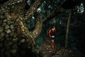 BIB: 
                            <button type="button" onclick="openModal(25694155)" class="btn btn-primary btn-sm float-right btn-popup" data-toggle="modal" data-target=".modal-high-quality">
                        <i class="fas fa-shopping-cart"></i> Add to Cart
                    </button>
                                            <button type="button" onclick="isThisMe(25694155, true)" class="btn btn-success btn-sm float-right btn-popup btn-isme hidden" data-toggle="tooltip" data-placement="bottom" title="นี่คือรูปของคุณใช่ไหม คลิกที่นี่เพื่อเอาเข้าอัลบั้ม">
                        <i class="fas fa-plus"></i> Add to album
                    </button>
                    <button type="button" onclick="isThisMe(25694155, false)" class="btn btn-warning btn-sm float-right btn-popup btn-isnotme hidden">
                        <i class="fas fa-ban"></i> Remove from album
                    </button>